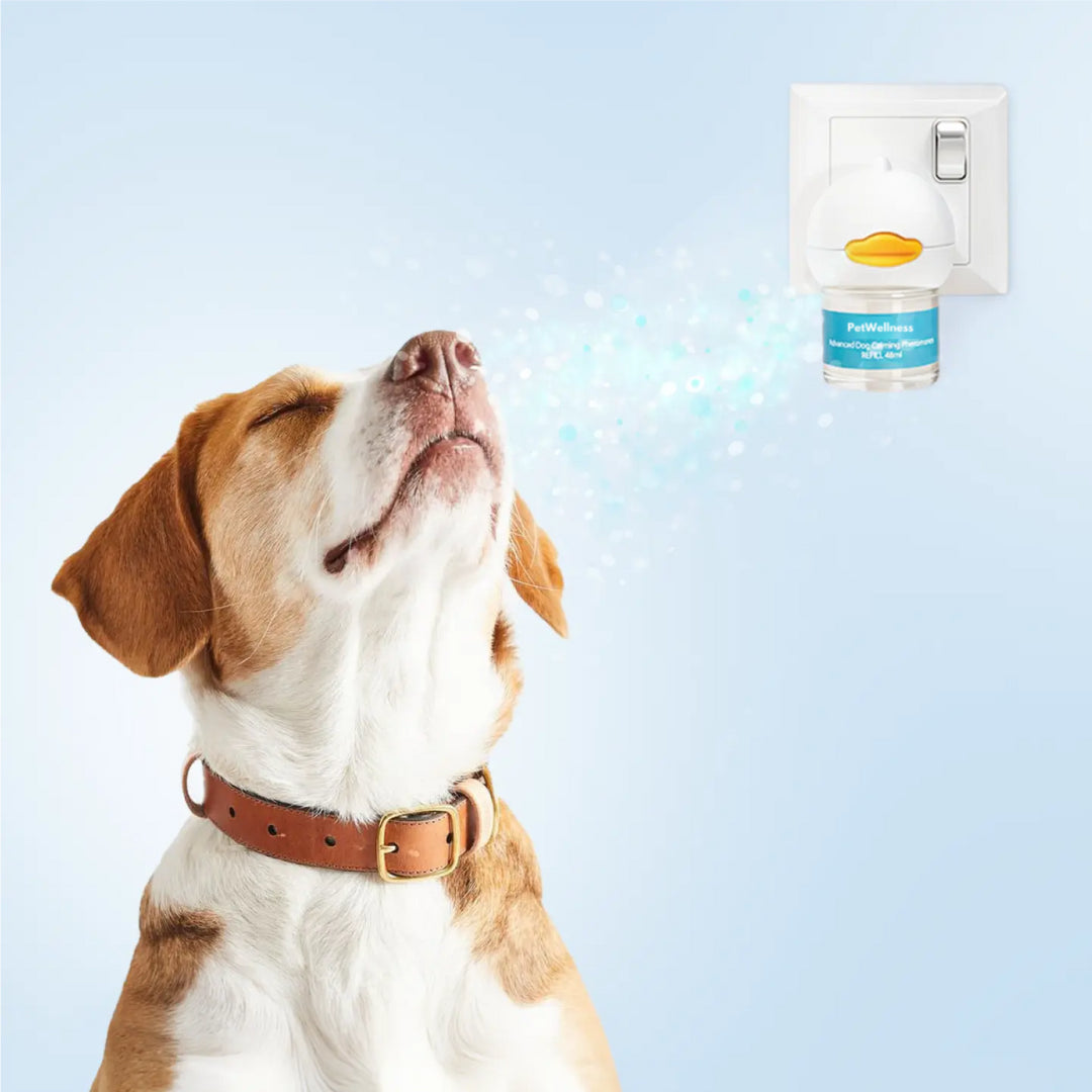 PetWellness™ | Klinisk dokumenteret feromondiffuser til hunde