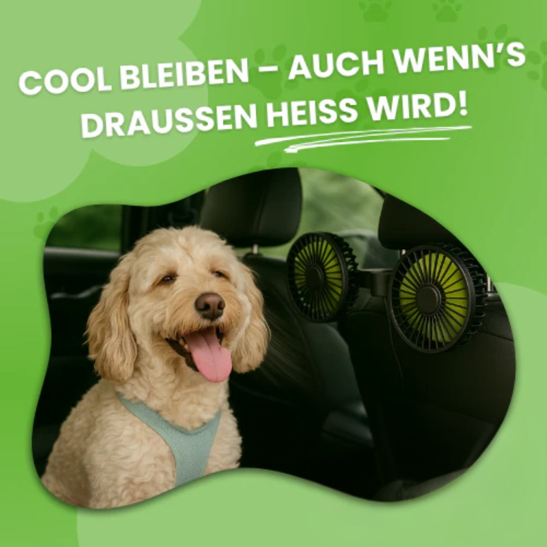 FreshDoggy | Vinder af rejsepræmie 2025