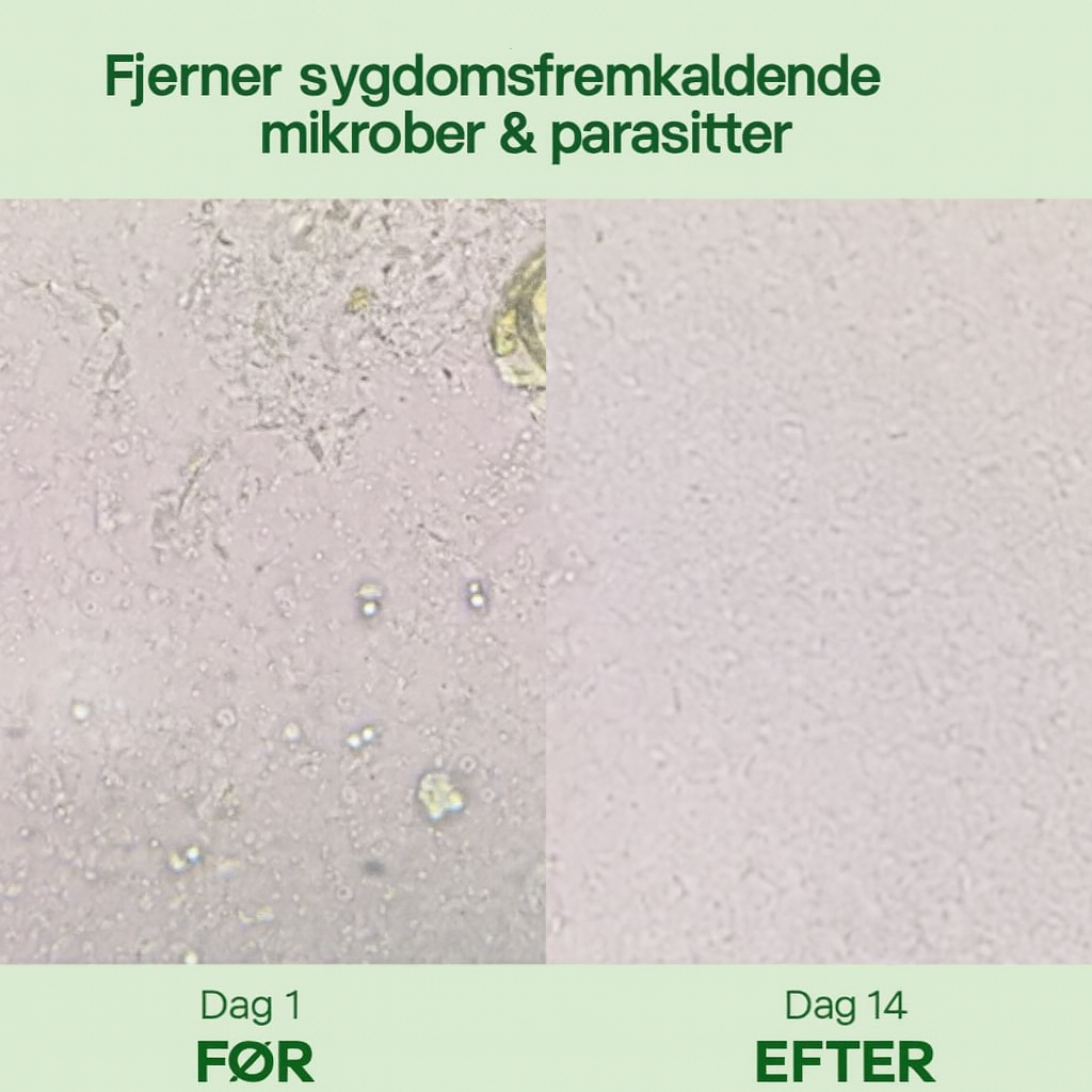 OregaPlus™ – Naturlig Tarmbalance & Parasitrens