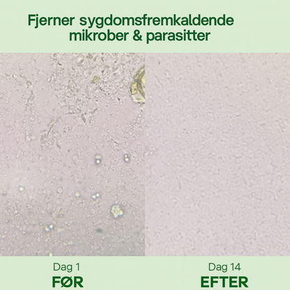 OregaPlus™ – Naturlig Tarmbalance & Parasitrens