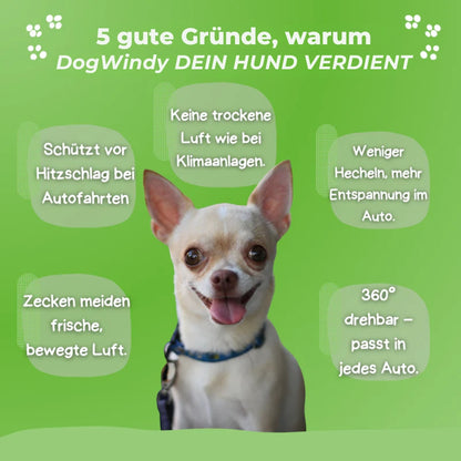 FreshDoggy | Vinder af rejsepræmie 2025