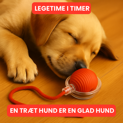 NovaBall™ | Den smarte måde at berolige din hund naturligt