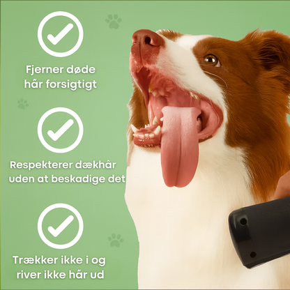 Nova DogBrush™ – Skånsom Pleje, Renere Hjem