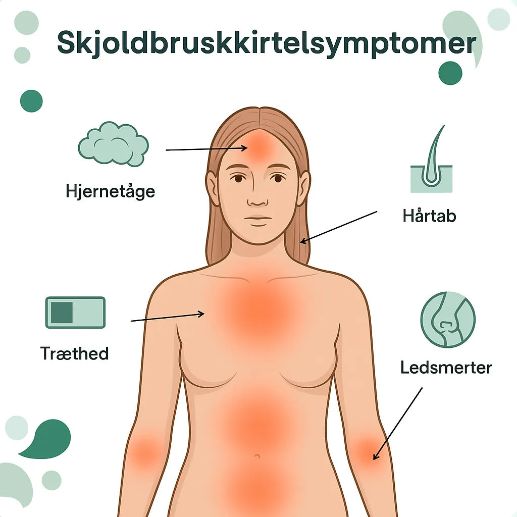 ThyroWell™ | Genopretter hormonbalancen & giver dig energien tilbage naturligt