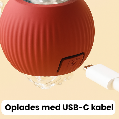 NovaBall™ | Den smarte måde at berolige din hund naturligt