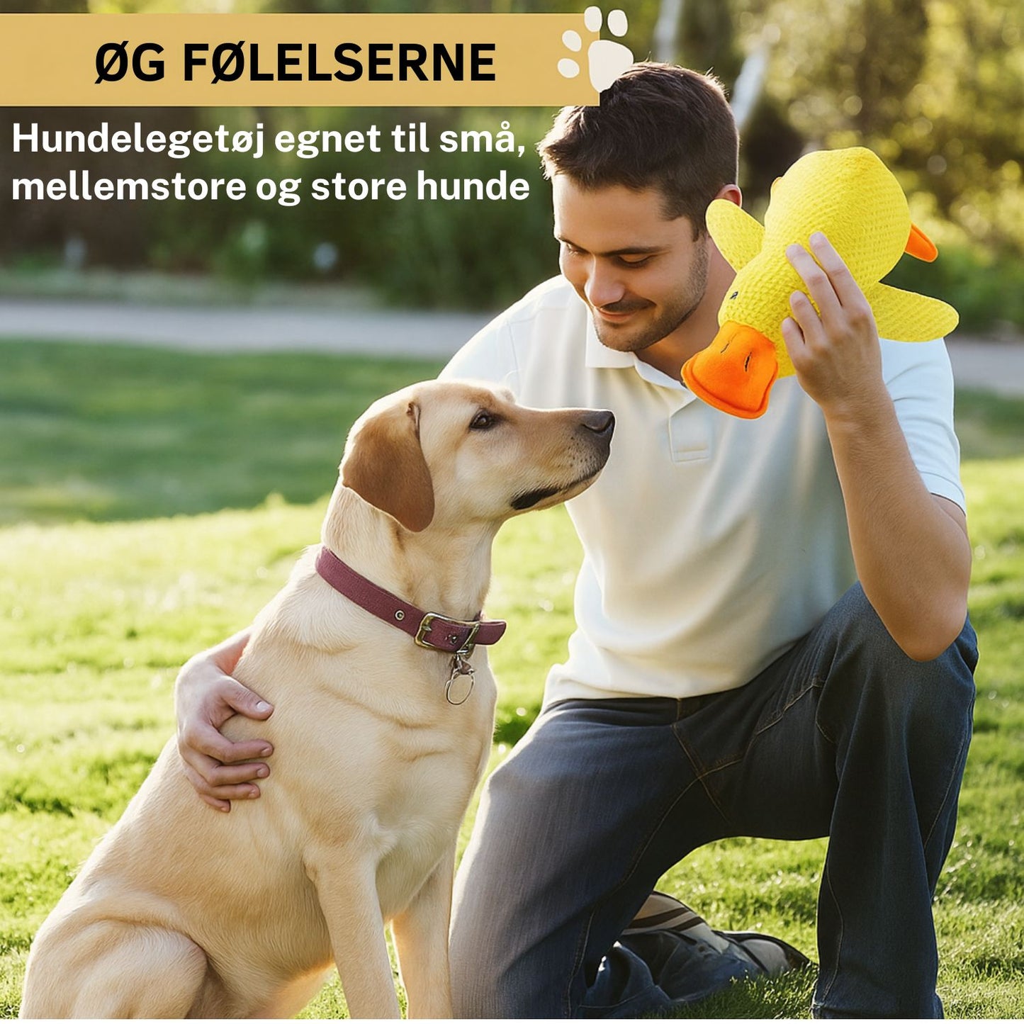 NovaDuckie™ | Det beroligende krammedyr, der giver din hund ro på få minutter