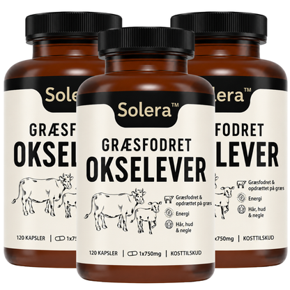 Solera™ | Superfoodenes konge til energi og immunforsvar