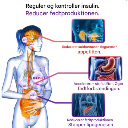 NovaSlim™ – Naturlig Fedtforbrænder mod Mavefedt