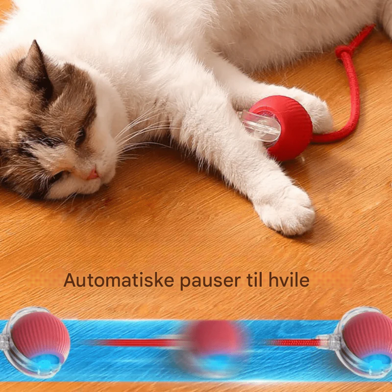 NovaBall™ - Interaktiv og selvbevægelig legekugle