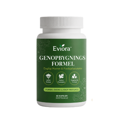 Eviora™ | Recovery Foundation-kapsler