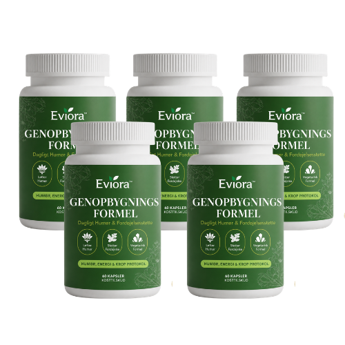 Eviora™ | Recovery Foundation-kapsler